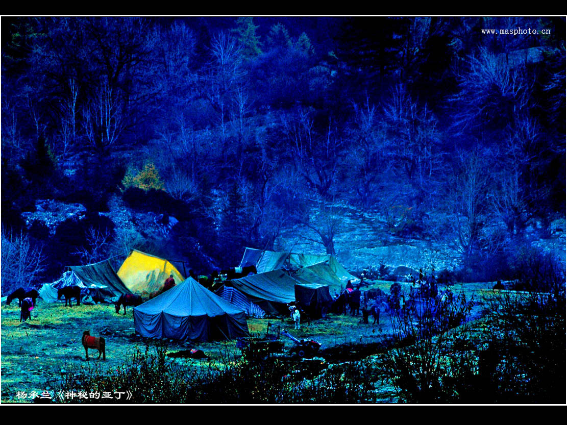 [����]����ɽ��������Ӱѧ�ᡰ����Ȼ�Ĺ�Ӱ����Ʒչ���£�