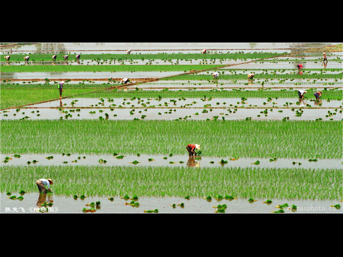 [����]����ɽ��������Ӱѧ�ᡰ����Ȼ�Ĺ�Ӱ����Ʒչ���£�