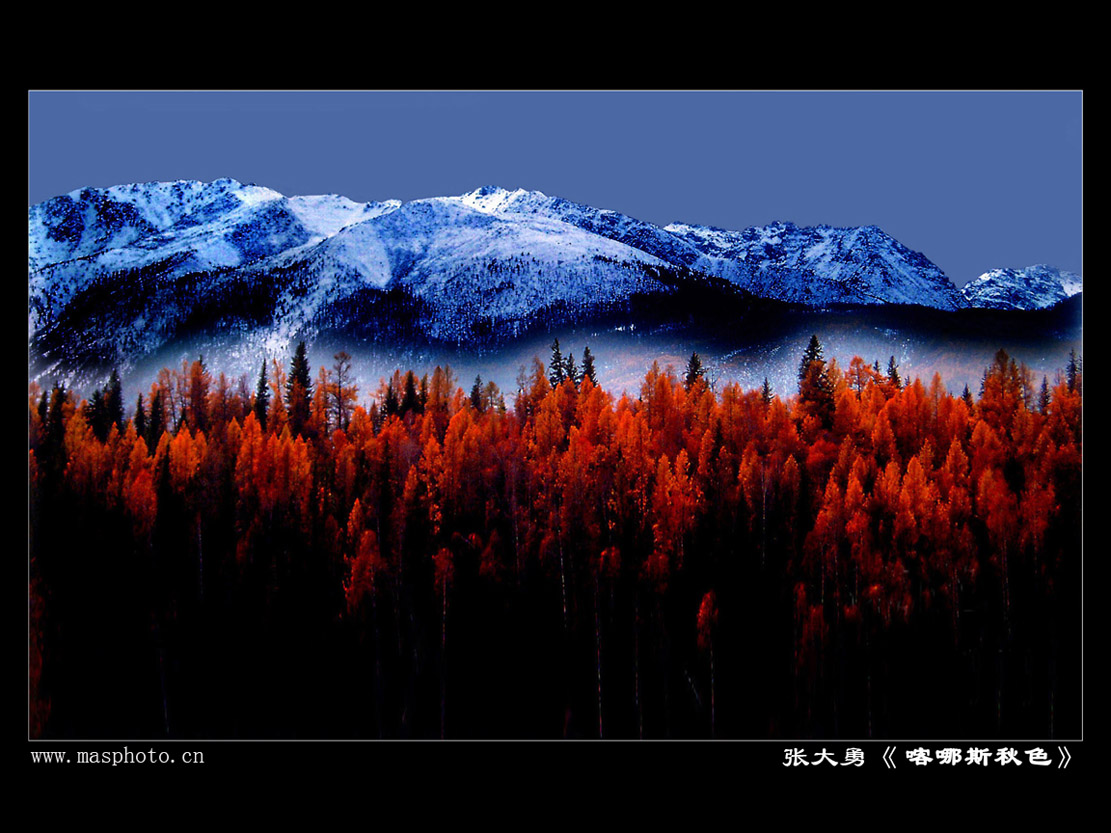 [����]����ɽ��������Ӱѧ�ᡰ����Ȼ�Ĺ�Ӱ����Ʒչ���£�