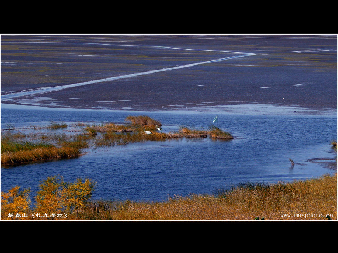 [����]����ɽ��������Ӱѧ�ᡰ����Ȼ�Ĺ�Ӱ����Ʒչ���£�