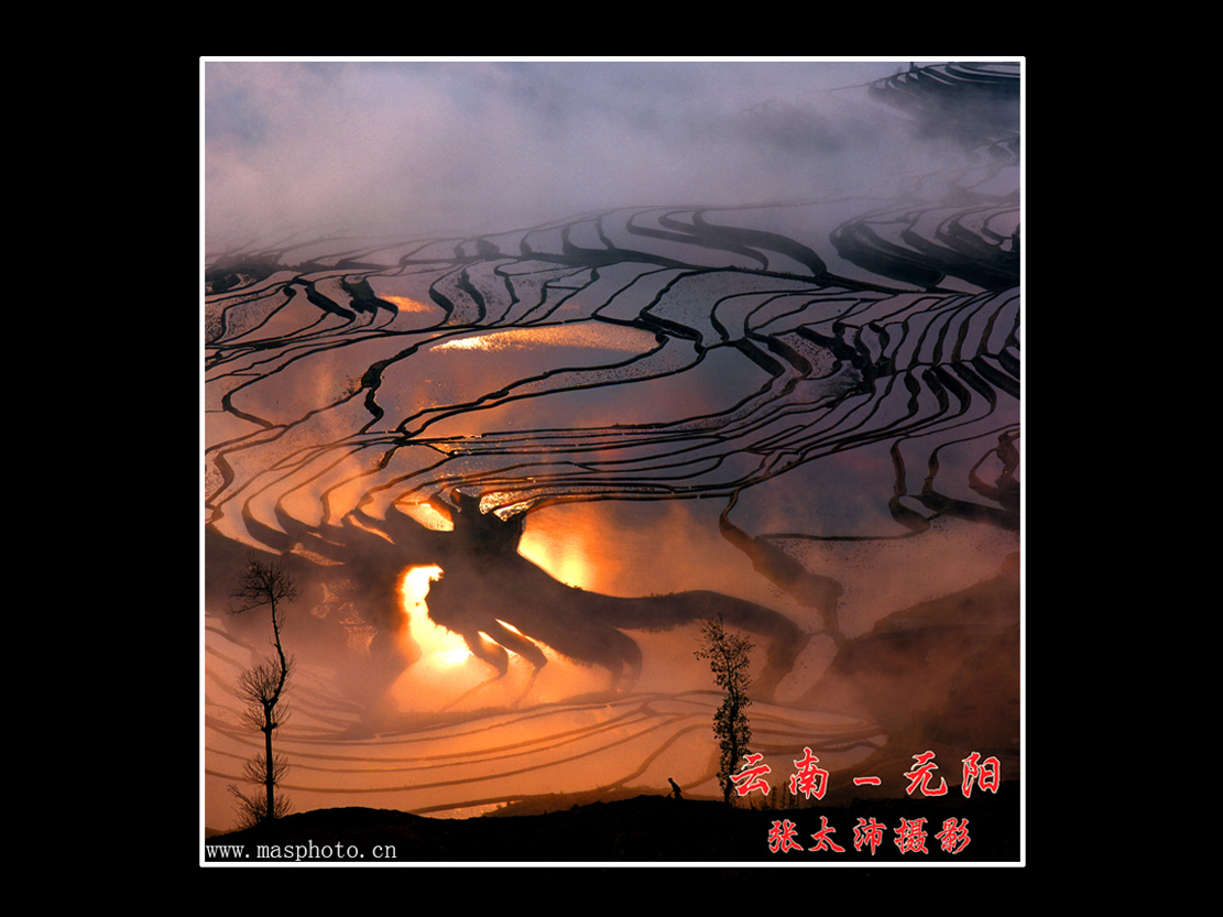 [����]����ɽ��������Ӱѧ�ᡰ����Ȼ�Ĺ�Ӱ����Ʒչ���£�