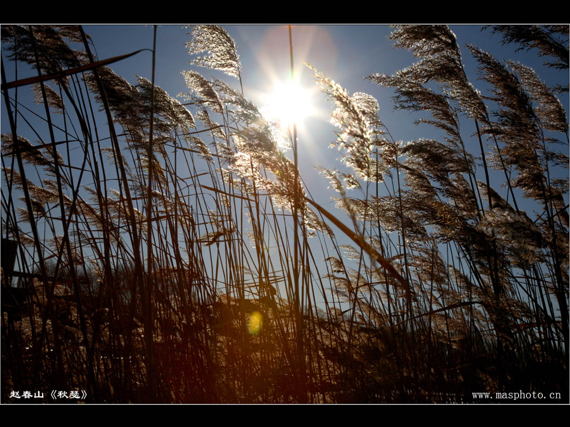 [����]����ɽ��������Ӱѧ�ᡰ����Ȼ�Ĺ�Ӱ����Ʒչ���£�