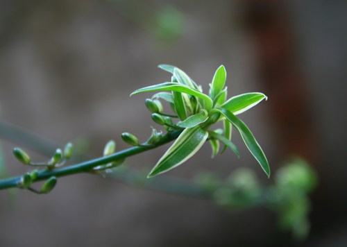 [ԭ��]����400D�׻����Ի�