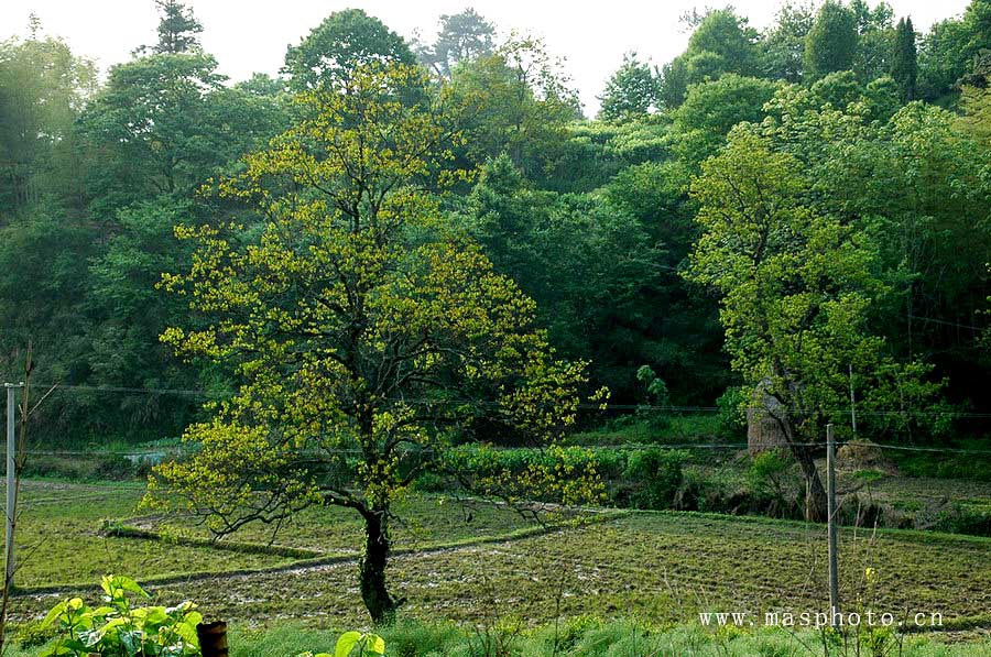 [ԭ��]�Ƴ�����  ���߱��ģ�2��