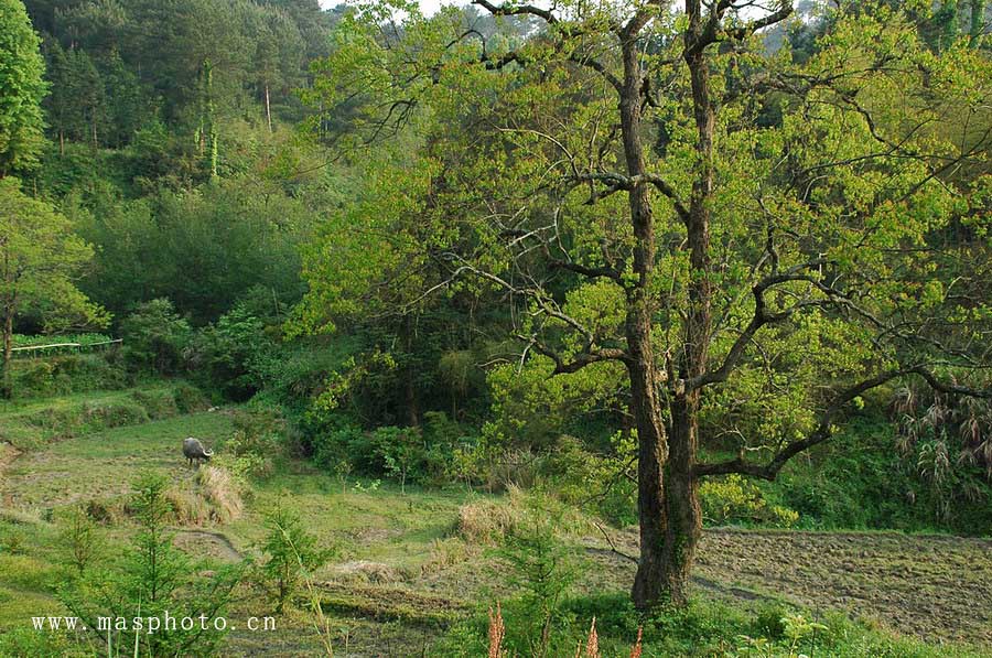 [ԭ��]�Ƴ�����  ���߱��ģ�2��