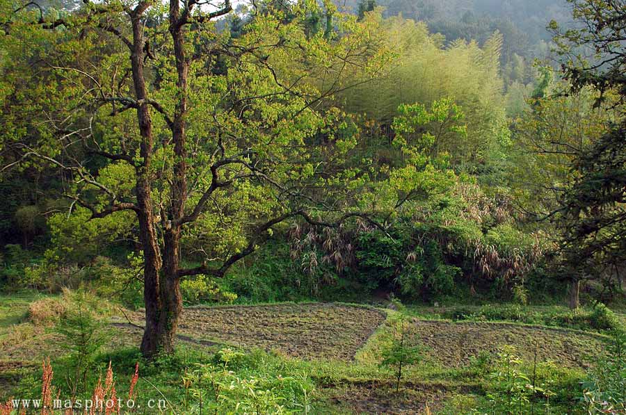 [ԭ��]�Ƴ�����  ���߱��ģ�2��