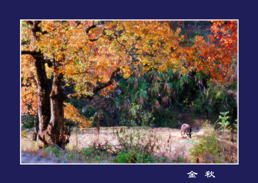 [ԭ��]�Ƴ�����  ���߱��ģ�2��