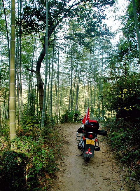 [ԭ��]�Ƴ�����  ���߱��ģ�2��