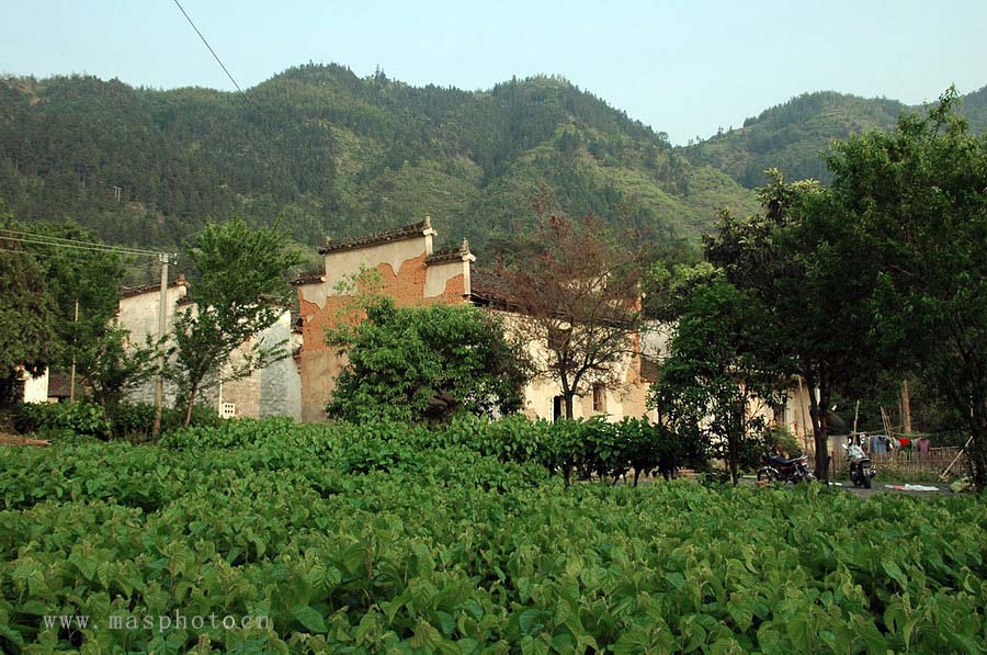 [ԭ��]�Ƴ�����  ���߱��ģ�2��