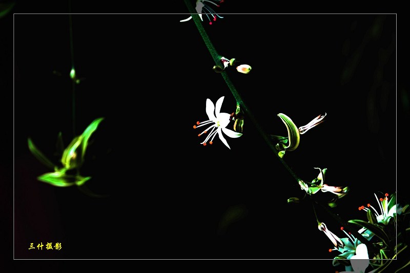 [ԭ��]400D�׻�������