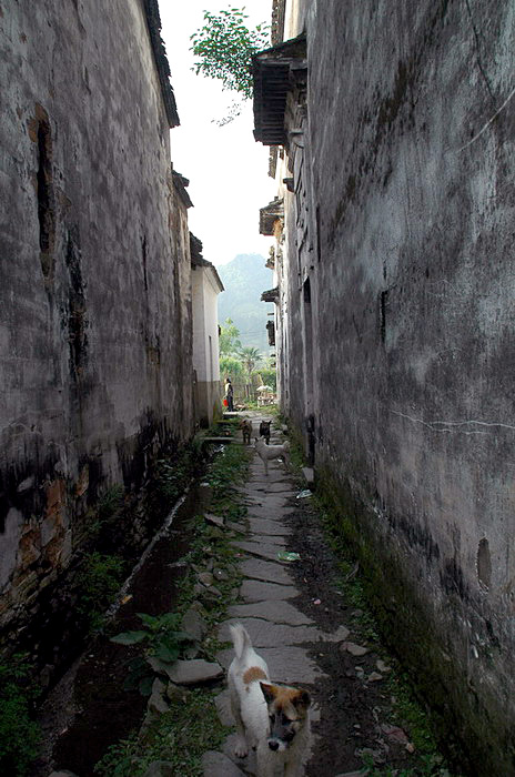 [ԭ��]������