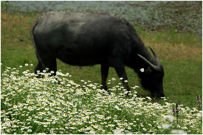 [ԭ��]���ϣ�1��