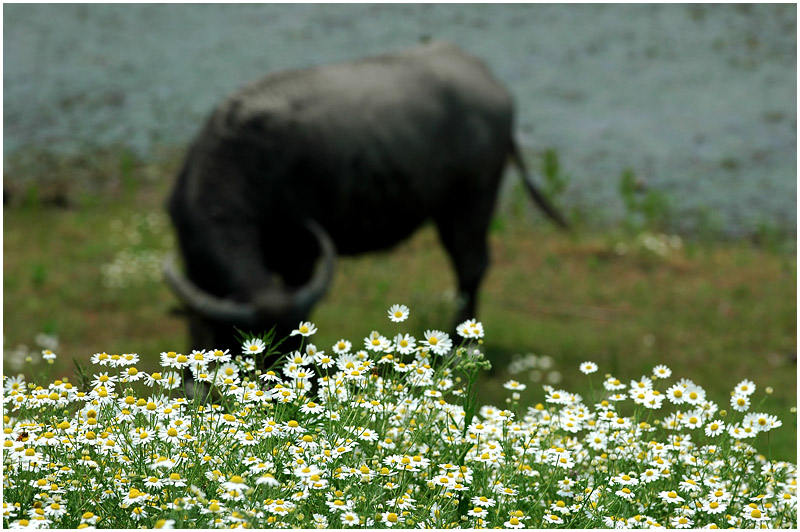 [ԭ��]���ϣ�1��