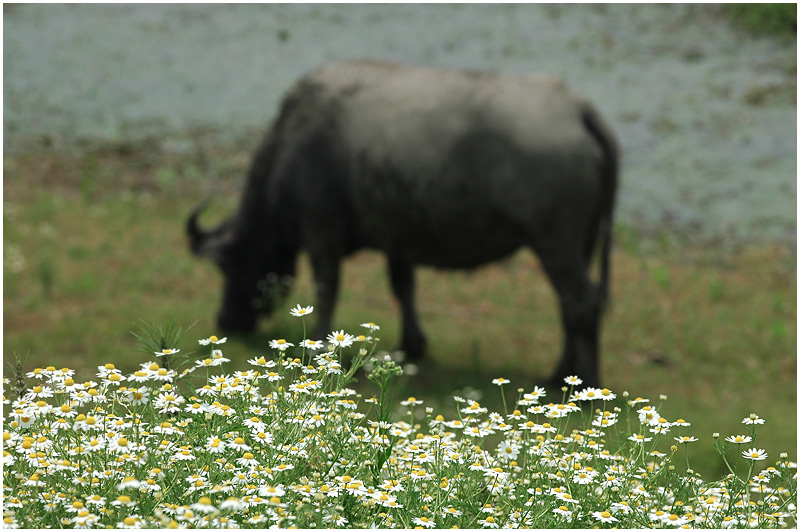 [ԭ��]���ϣ�1��