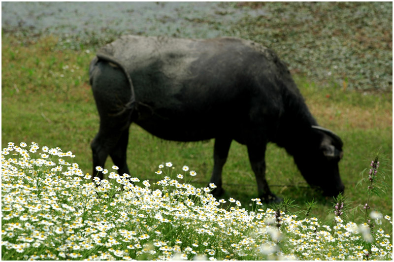 [ԭ��]���ϣ�1��