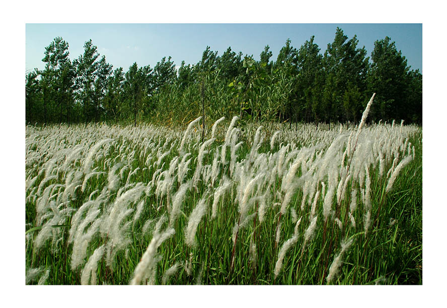 [ԭ��]���ϣ�1��