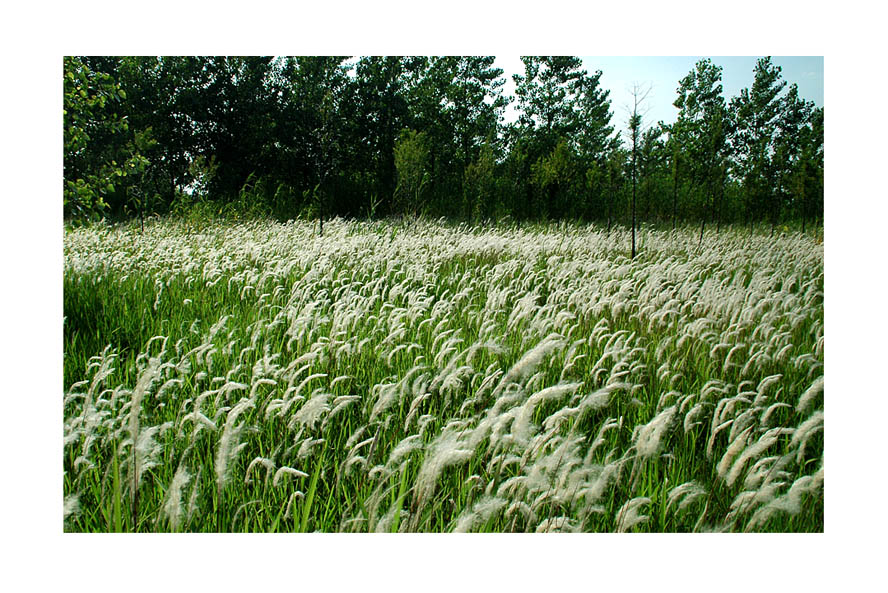 [ԭ��]���ϣ�1��