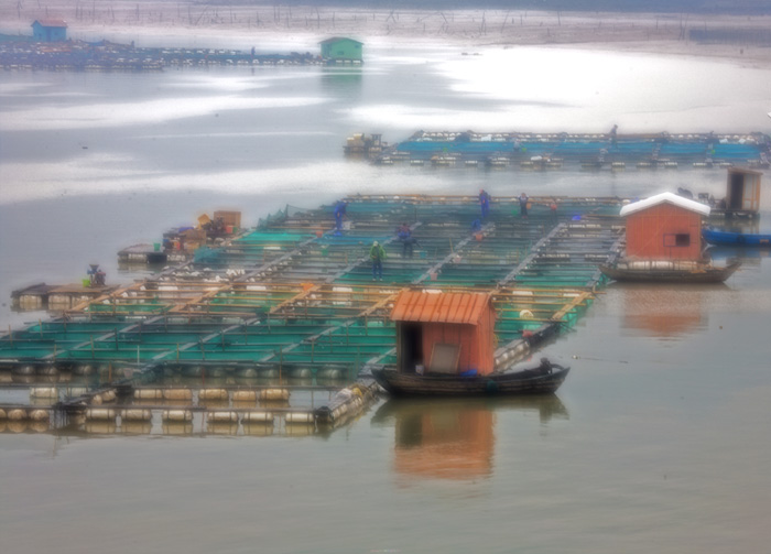 [ԭ��]̲Ϳ������