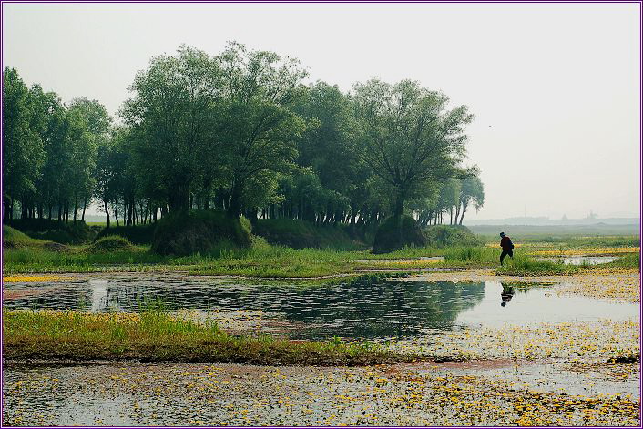 ����ӡ��