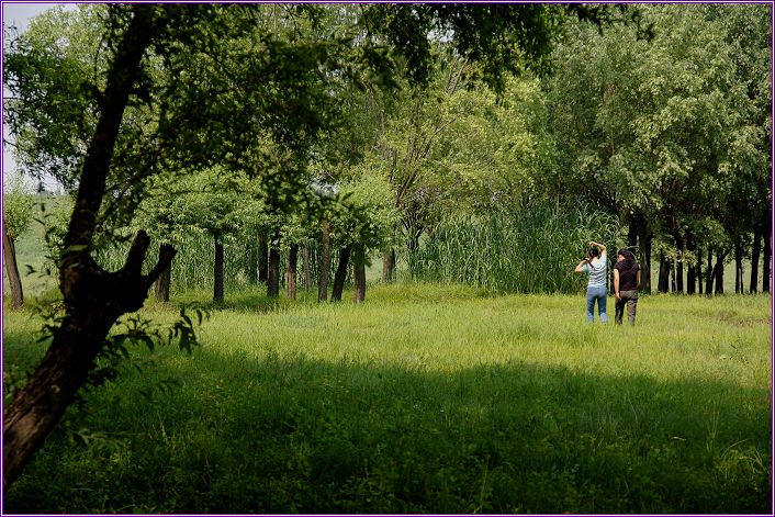 ����ӡ��