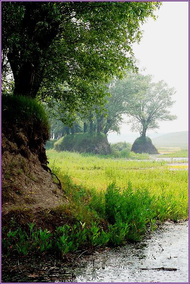 ����ӡ��