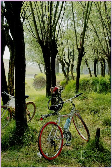 ����ӡ��