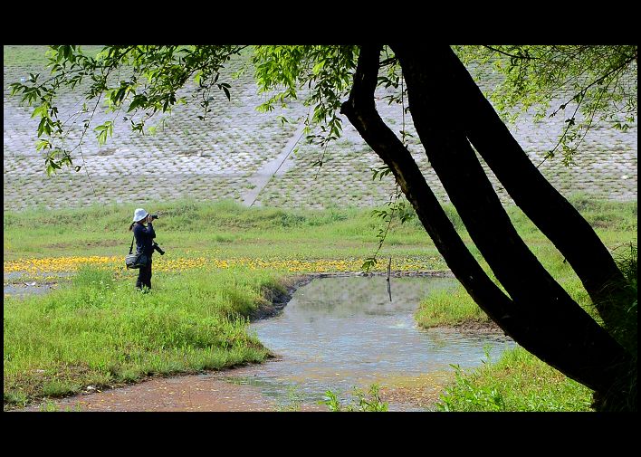 ����ӡ��