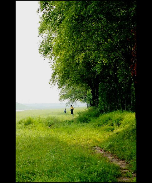 ����ӡ��