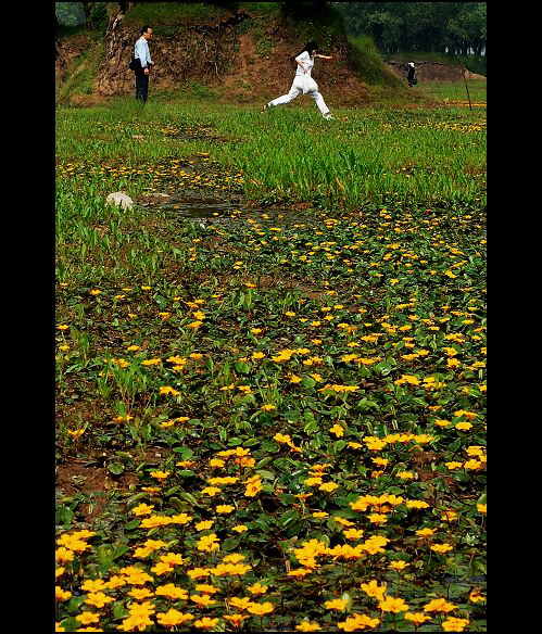 ����ӡ��