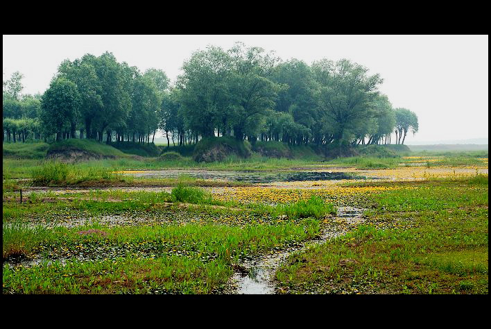 ����ӡ��