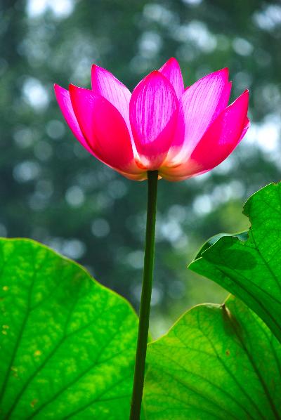 [ԭ��]��������