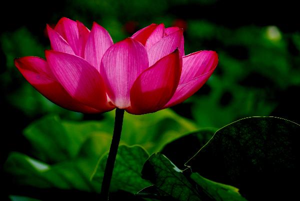 [ԭ��]��������