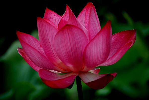 [ԭ��]��������