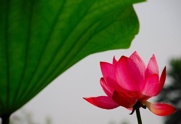 [ԭ��]��������