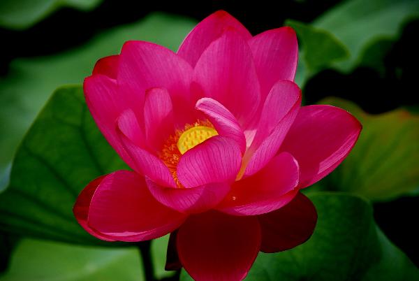 [ԭ��]��������