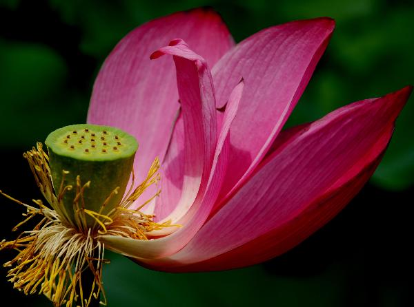 [ԭ��]��������