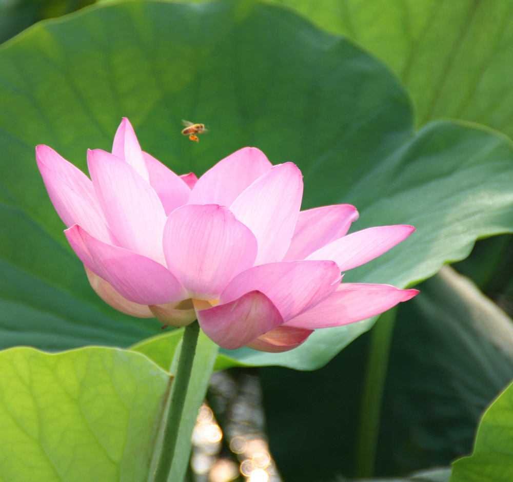 ���ֵ����ʱ��������