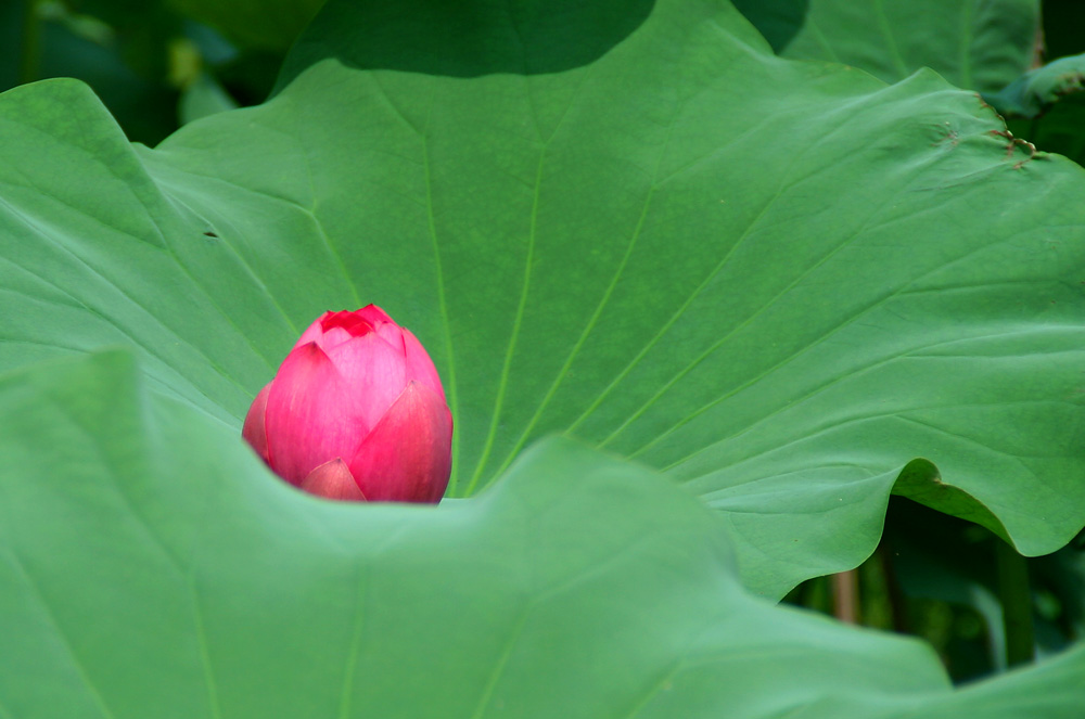 ���ֵ����ʱ��������