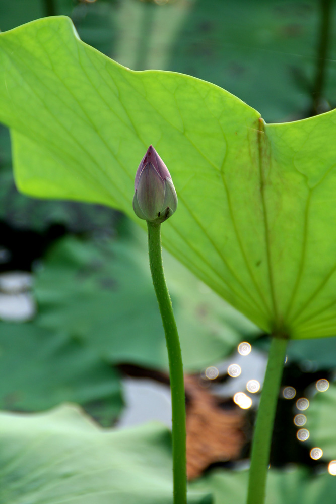 ���ֵ����ʱ��������