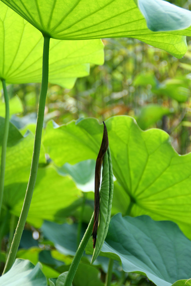 ���ֵ����ʱ��������