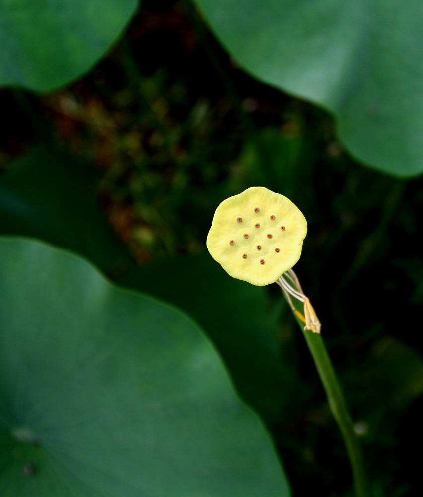 ���ֵ����ʱ��������