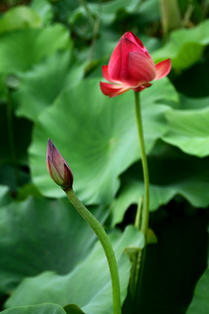 ���ֵ����ʱ��������