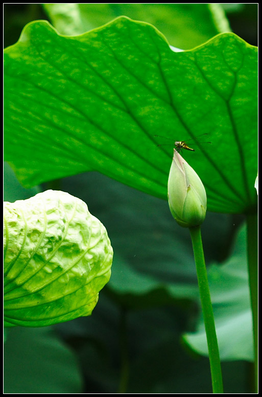 Ҳ���ɻ�����ӭ��ҵ���