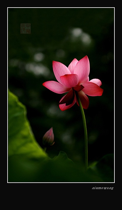 [ԭ��]��֮��