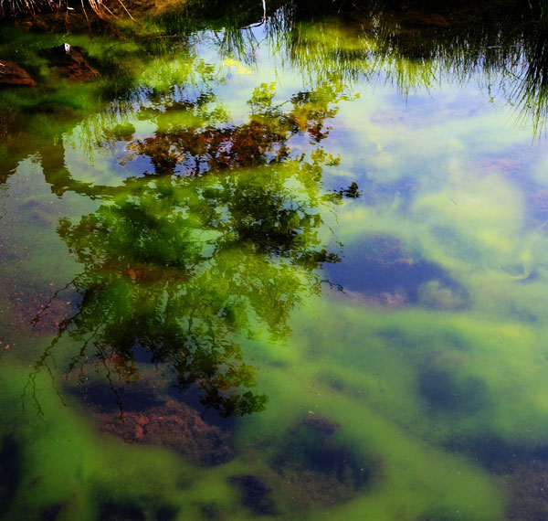 [ԭ��]������ط��1-5