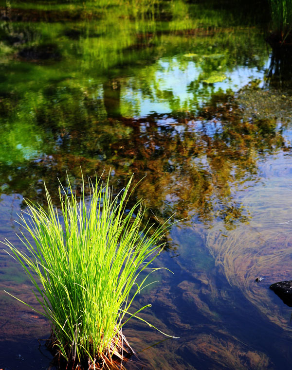 [ԭ��]������ط��1-5