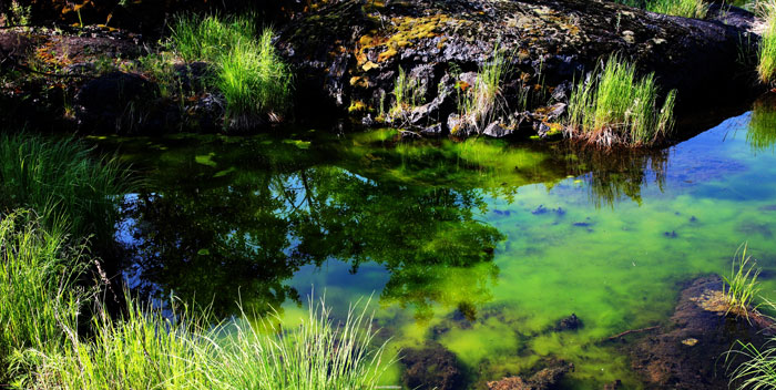 [ԭ��]������ط��1-5