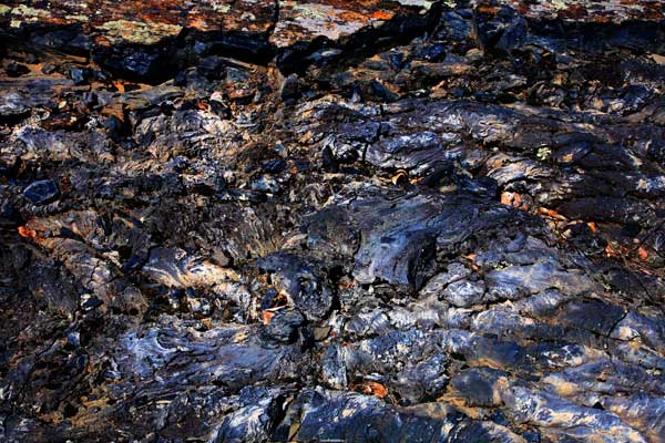 [ԭ��]��ɽ�ҽ���ò1-5