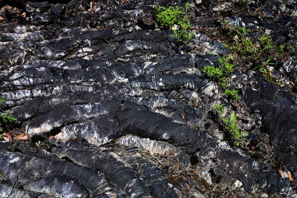 [ԭ��]��ɽ�ҽ���ò1-5