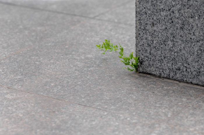 �����Ŀ���